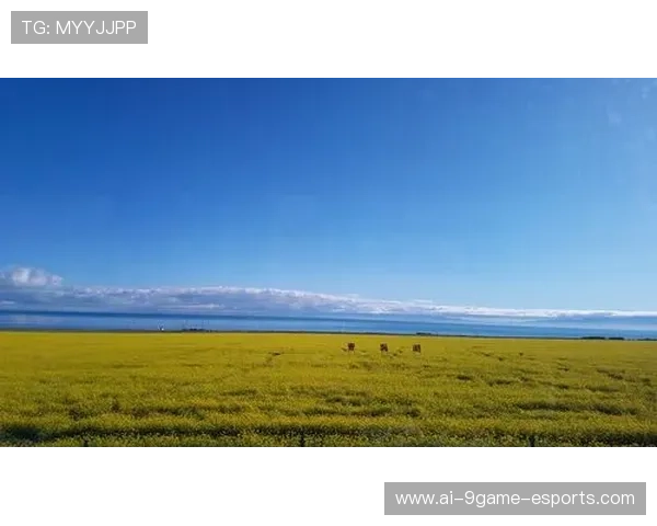 女足球星崛起与贝爷冒险精神的完美碰撞揭秘 女足球星崛起与贝爷冒险精神的完美碰撞揭秘